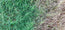 Vinaigre 10° Désherbant Ecologique Agriculture Bio